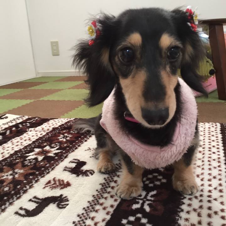 A5ecf225 0486 43ca a1ac 5da9a274ed1b 1517194243178