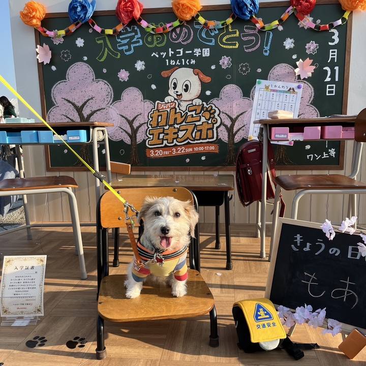 A5ed0a3c 8391 4d14 b07f 9b3e3f9317ab 1774092346666