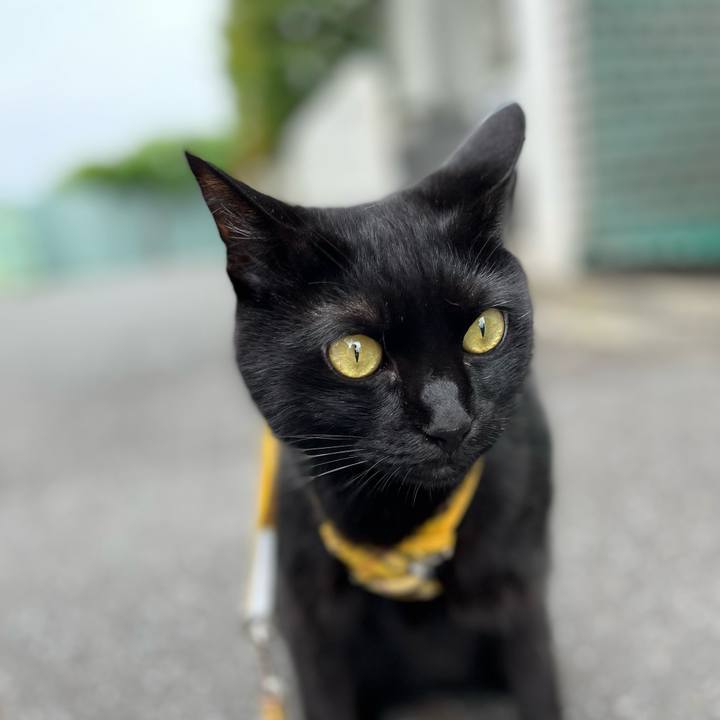 A5ed0ef9 0548 4bb9 8ef3 19f562811631 1654918836312