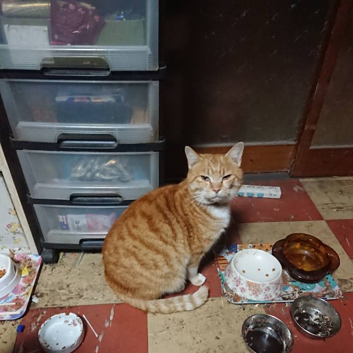 A5ed1725 d692 4533 966d 185e2066a968 1581584634479