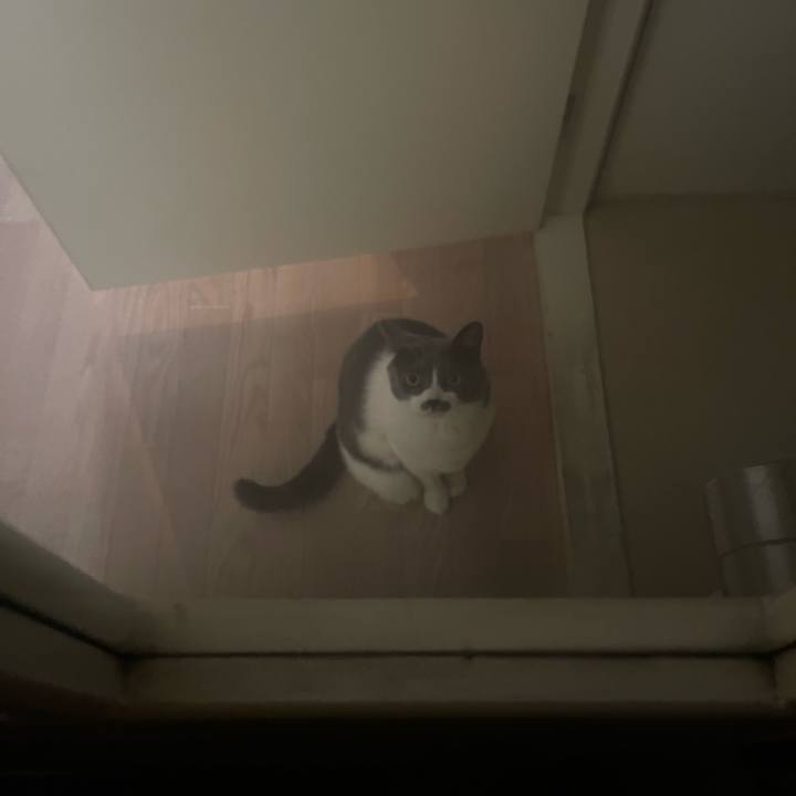 A5ed4949 cf4e 4903 9838 c236612a62c3 1736828756661