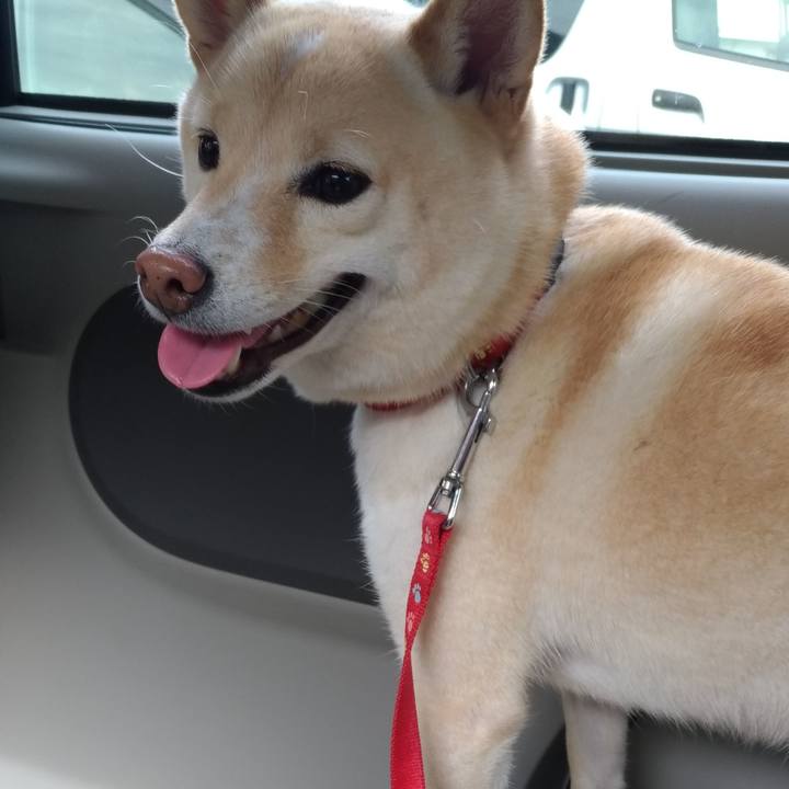 A5ed555b 1c30 4ab5 ba9b 3e40c8fb9738 1604198599246