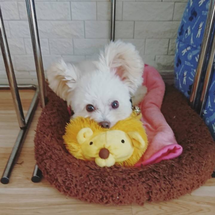 A5ed5ba7 3d07 4a9f 80e4 647c1149a0a7 1601189059121