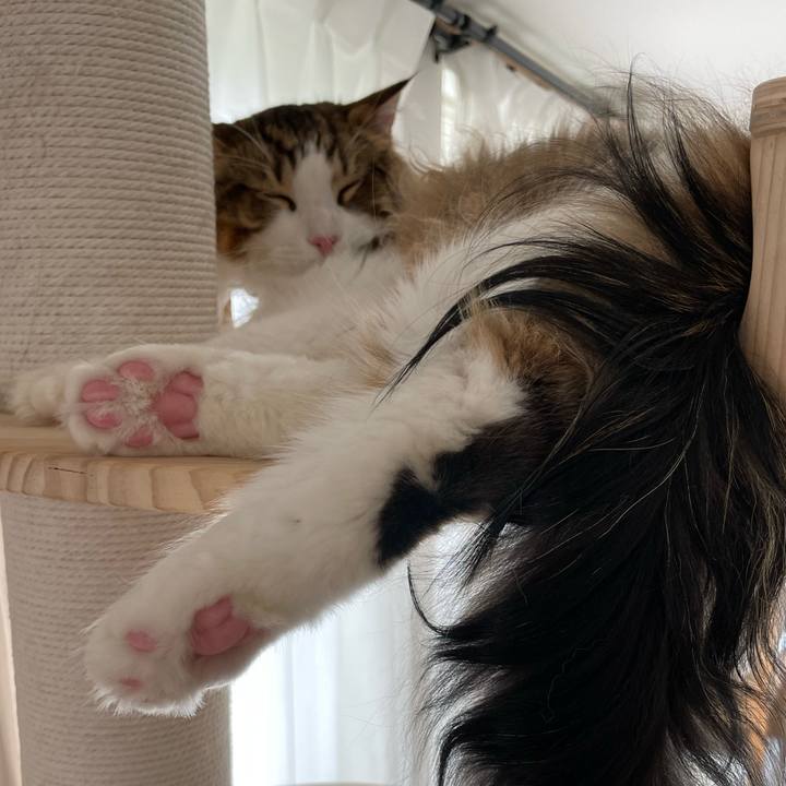 A5ed5ebc aaff 4238 b185 af1f9206cac3 1658628294881