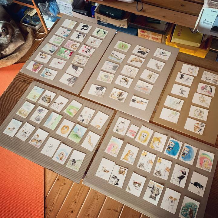 A5ed6dac e1c9 4015 b528 a979a1692da5 1614135789651