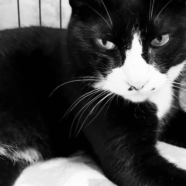 A5ed6f21 19fa 4edd 9f68 9bcf011ef088 1752494713350