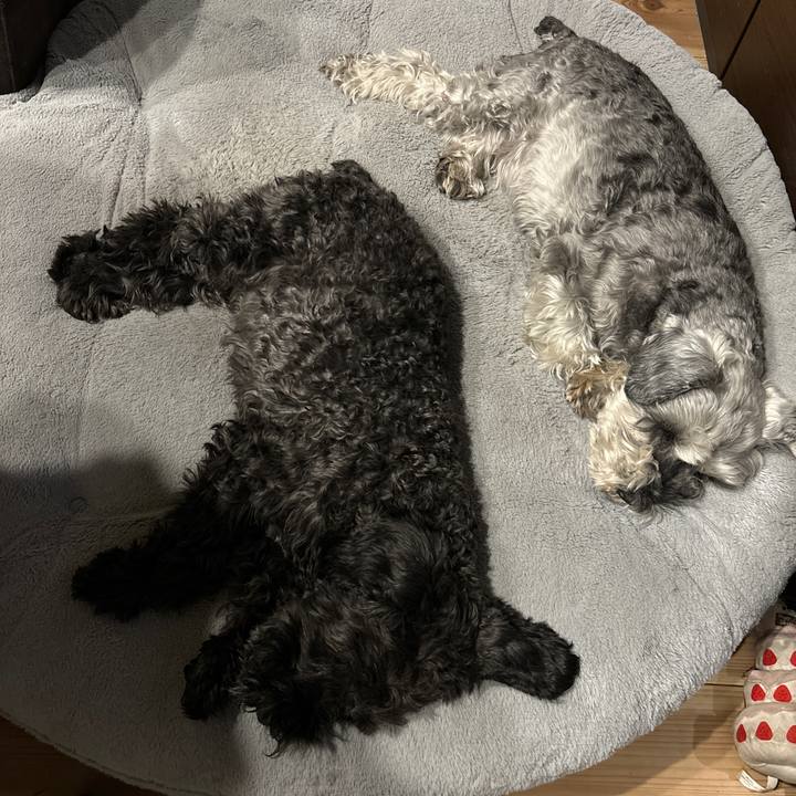 A5ed9e4a 81f5 48a3 8ff9 0f87199d4c46 1706531469467