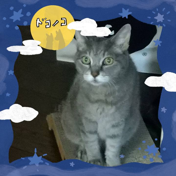 A5edb13f 441c 4e99 a723 e3194000f569 1726830573529