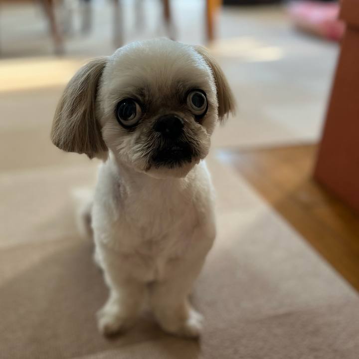 A5edb432 616a 4c5a bec0 07fdbe8a5ad9 1649502824892