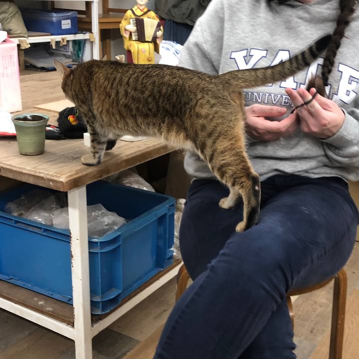 A5edbfb5 5ed7 4d91 83c6 2388019ad196 1668172415570