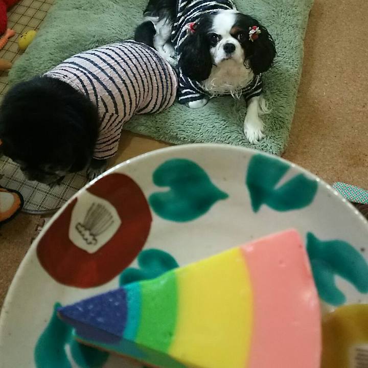 A5ede15d 8274 4e90 9992 66e9117ef9df 1540789886678