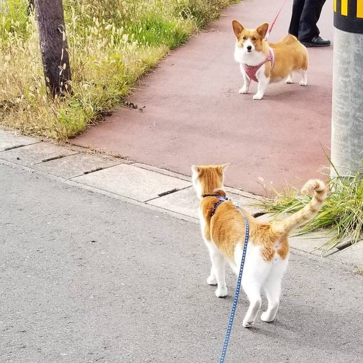 A5edfb25 855e 4108 93cb 1c43ac4a88c5 1543148462135