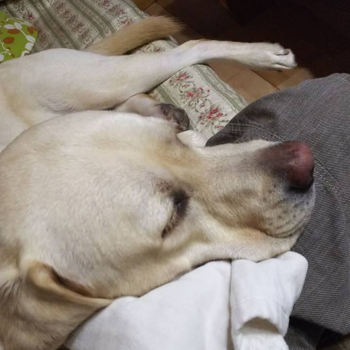 A5ee46a7 731b 469c ab35 58618c8d5deb 1536222849823