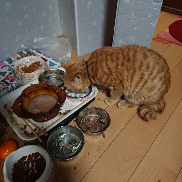 A5ee5f85 1a33 4868 acb8 1cd736559a93 1641346370523