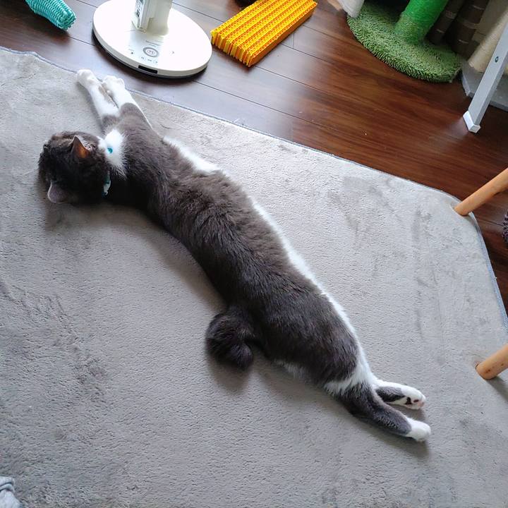 A5ee8b23 ca12 49ac 9146 f929bdf0e3a9 1657412893574