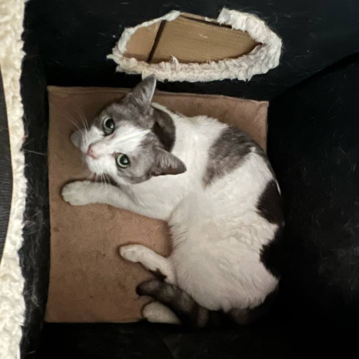 A5eea90d 8951 46bc ac33 6c8b6f2dd20e 1691802952889