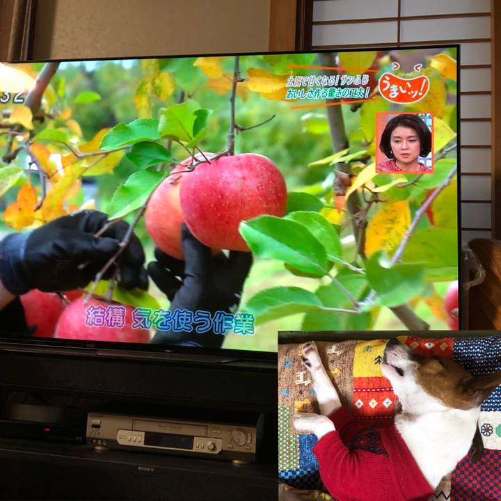 A5eeb1a6 5340 4f47 9d6a dc389ee00184 1544312167685