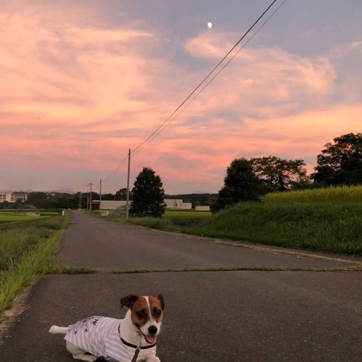 A5ef0afd cf62 44c7 acdb a38140f14caf 1568025698911