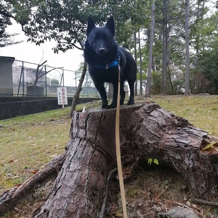 A5ef170c ef57 4fd8 9e8b 29dd7fea43a9 1616622707654