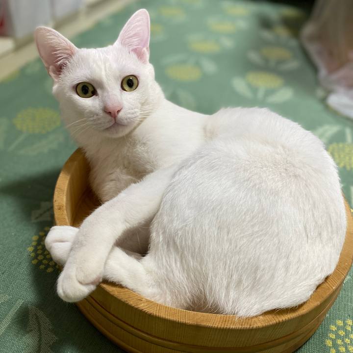 A5ef2509 fa92 434d bd8b 25ba10465a8f 1708846251770