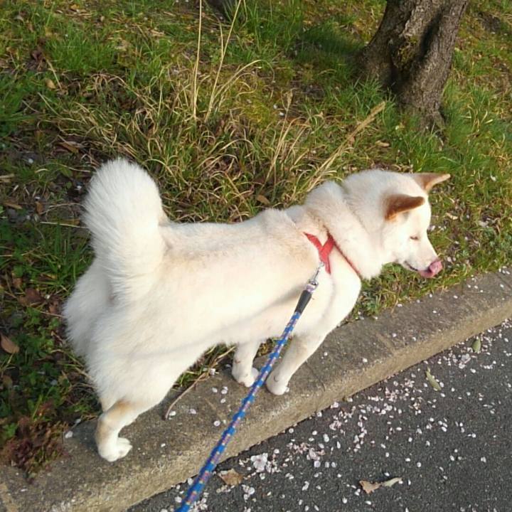 A5ef2d89 cf2d 47fa 9f3e f076e4610ff7 1522569963958