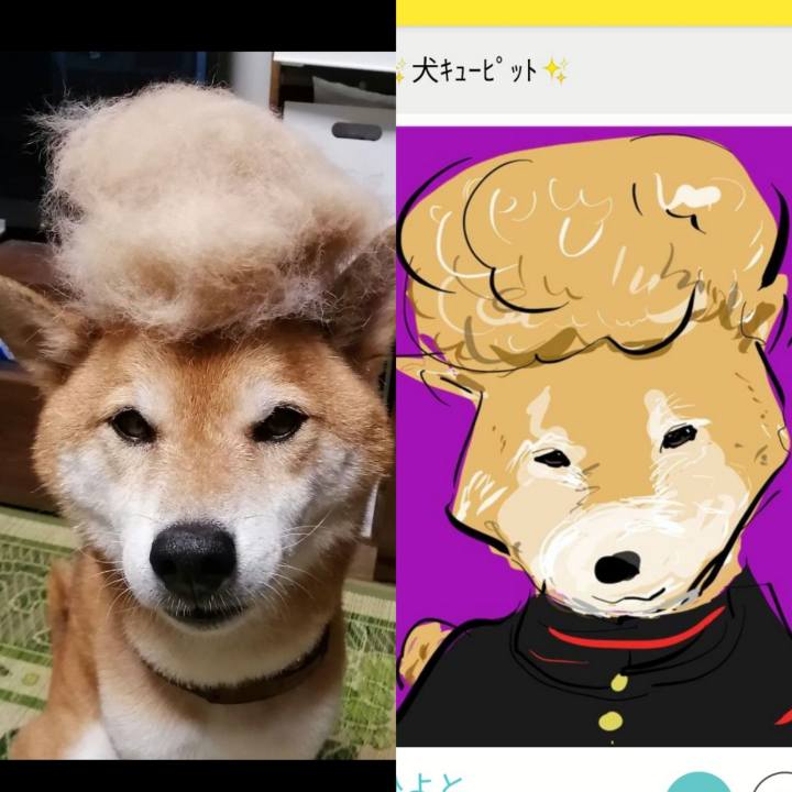 A5ef3c73 0b96 43d0 a265 295be195bc27 1662305282963