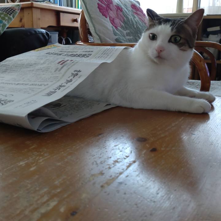 A5ef5dbb 166e 450c 82fa 504017aa48a8 1690238530004