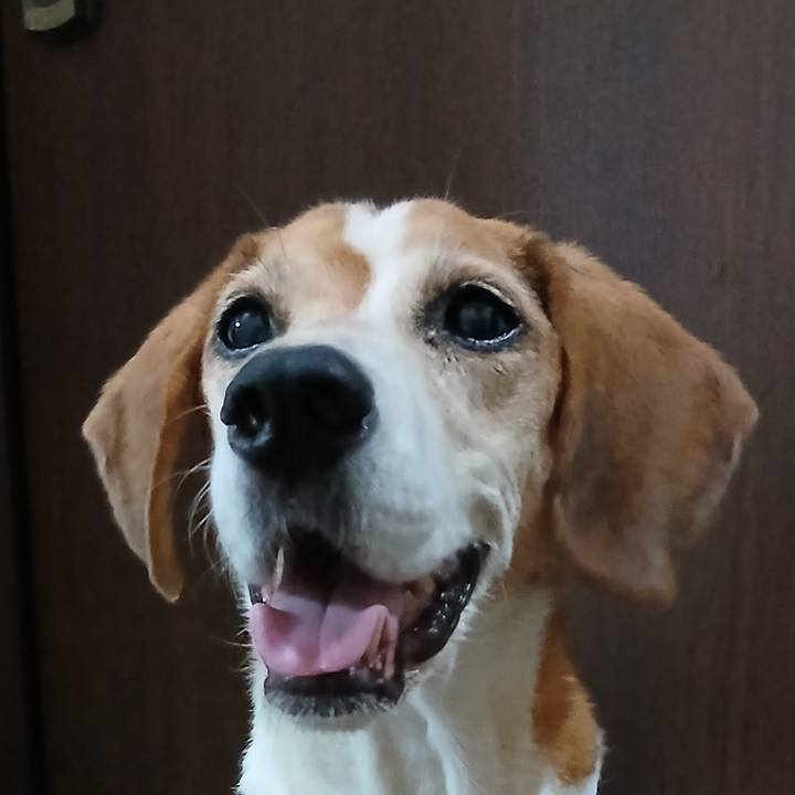 A5ef8c56 4770 4978 93e4 139c52239df8 1760760999970