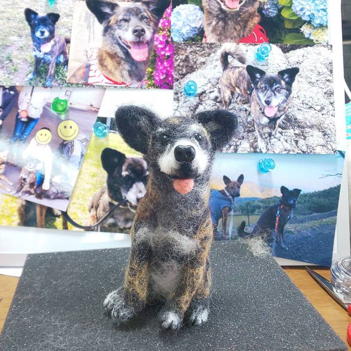 A5efd21e 4942 469e 8070 d3642479445d 1630397481531