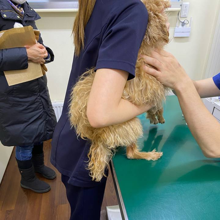 A5efd633 59b6 4075 bfc2 a600f4d4f2e4 1675255114340