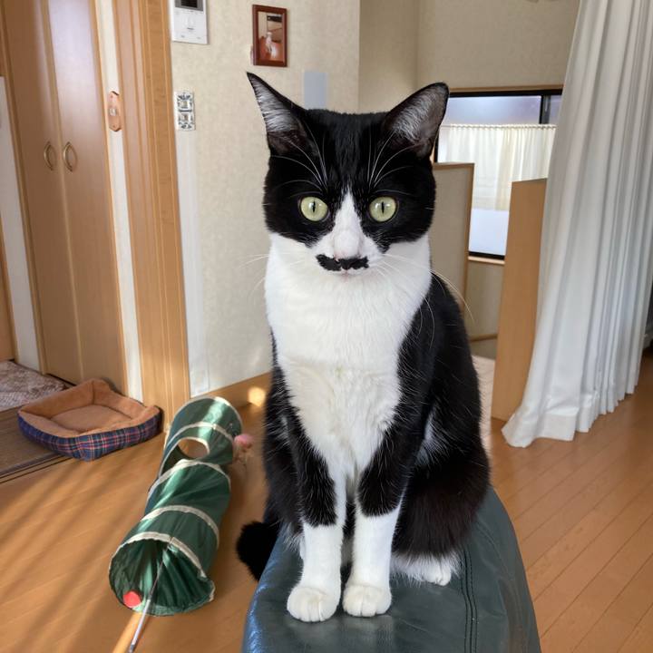 A5f00c89 c2cd 4268 9837 e7a4bfbd2bfa 1732234802730