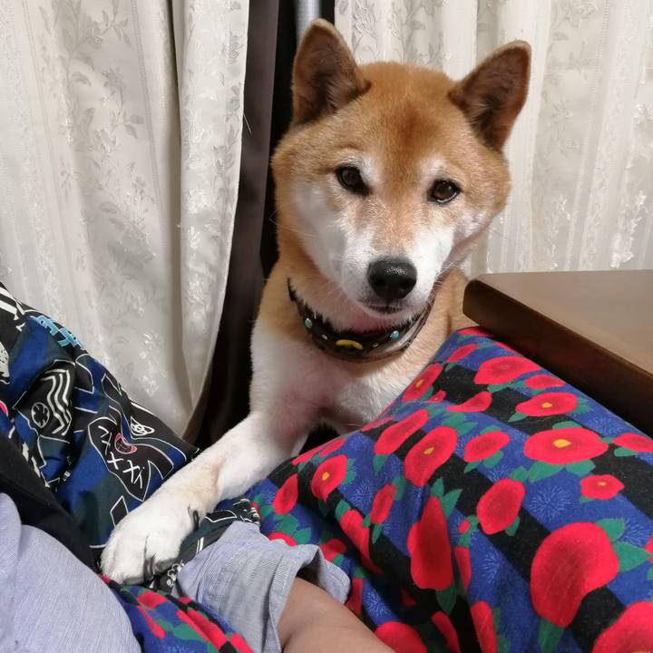 A5f08334 556f 4b15 88ed ddec67a781e3 1675524349678