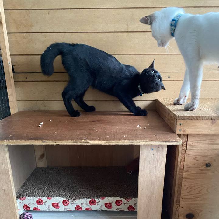 A5f0abef bf4e 4923 9ad5 aebbc78bb5c4 1631060987033