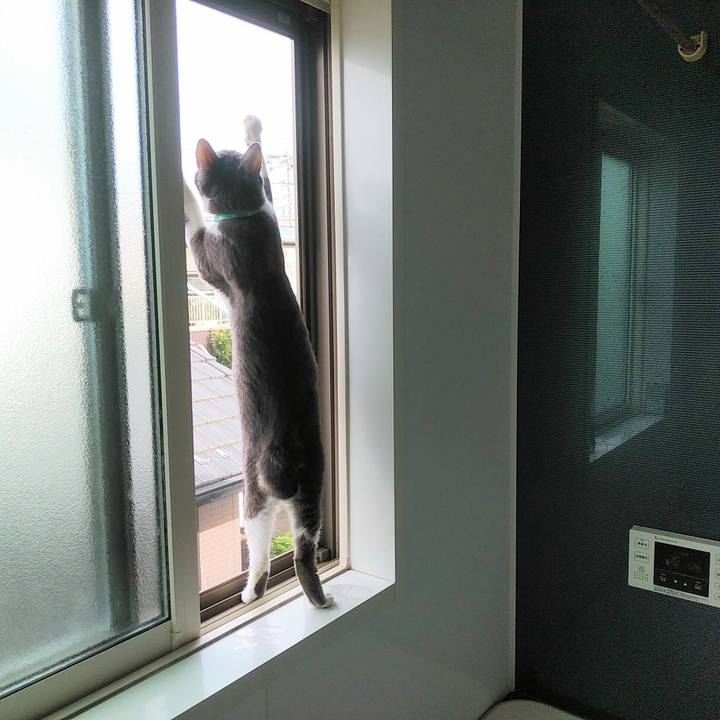 A5f0d606 ffb7 4a7b 93dc 95512bb308e4 1594507859531