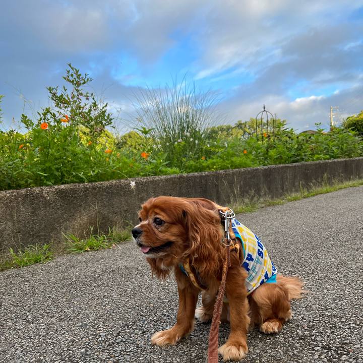 A5f0edce 02ac 485c 8efb 4ac125c0edd2 1658527675948