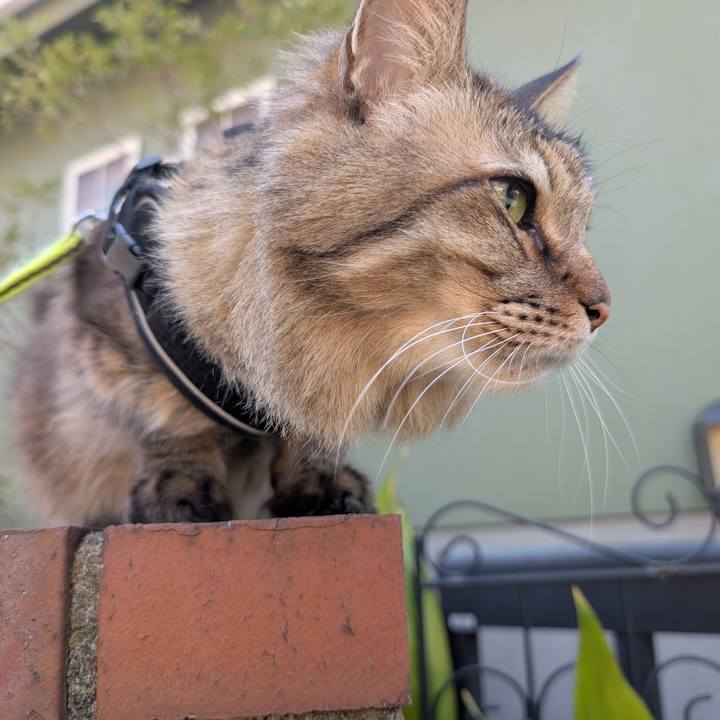 A5f0ef31 6fa6 4a44 8b08 3ab63ea20b1c 1774393908283