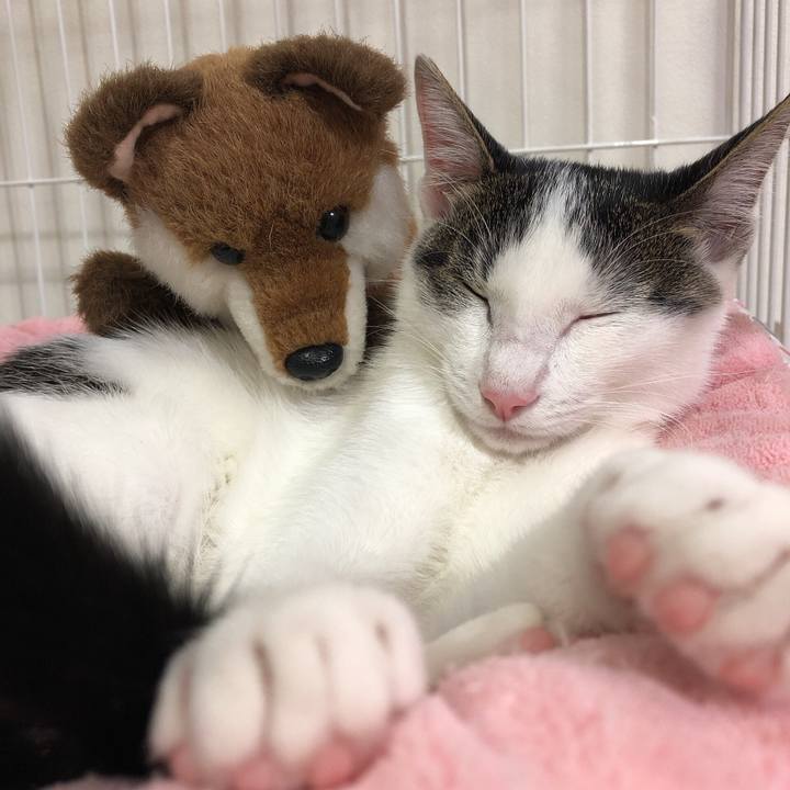 A5f102d1 fcbc 43e0 a3c3 348faefe3bb7 1571028601746