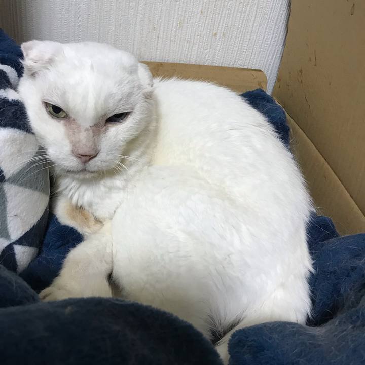 A5f111a3 eb02 42bf 8bea 9ddd9a6af50f 1540541076934