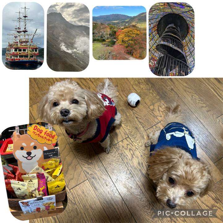 A5f12fd4 6e9f 43f3 8ee6 8dc6cfa97fcd 1732418118461