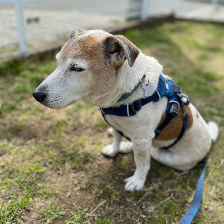 A5f15cad 7357 471b 898d fb1b96f7afd0 1648176210276