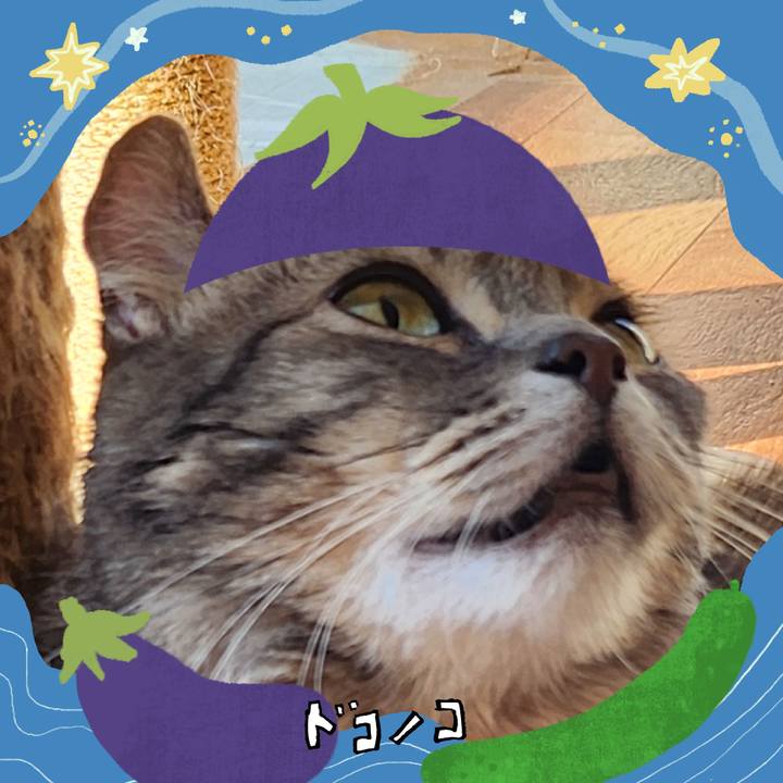 A5f1822f a863 4321 9d34 0dfb518b42a4 1755052089740