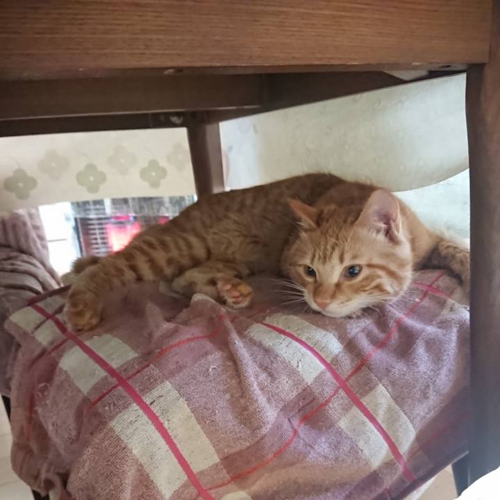 A5f1b758 1965 49a0 9dec af8e043c3d55 1643580426960