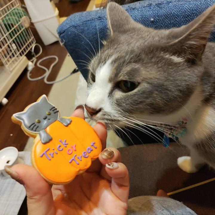 A5f24571 2730 43bc bc84 390850076e83 1667047536661