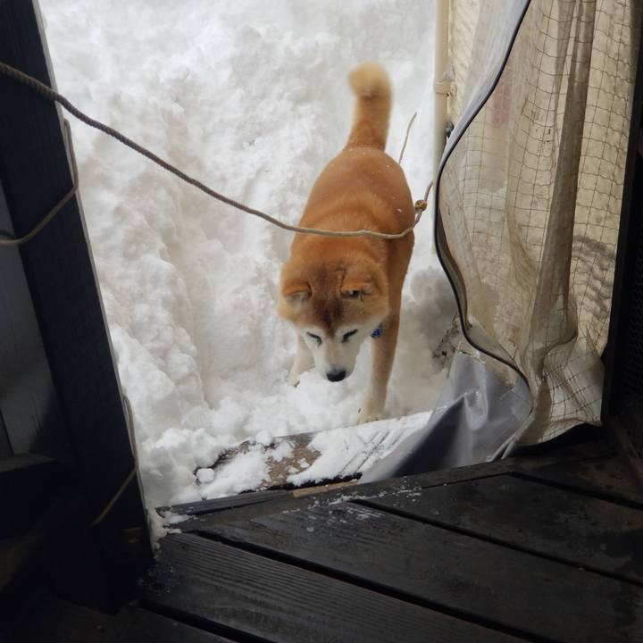 A5f2563e f4fd 4058 a961 1e9e9e853a99 1739097160398