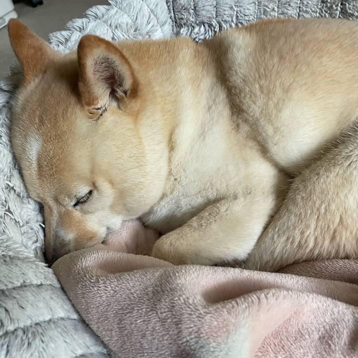 A5f25b2d 8752 4d00 b92c 3db27d04412b 1681522237308