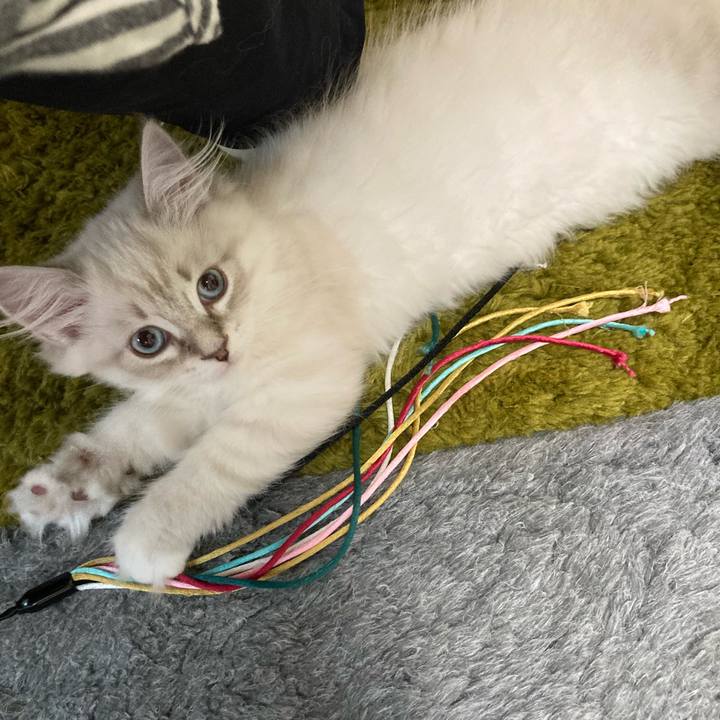 A5f28436 6172 4c3e aba4 413b9d7af424 1666616927625