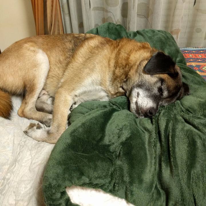 A5f2a55e 9acd 42c4 ac24 d9ea21ead9f6 1766023645743