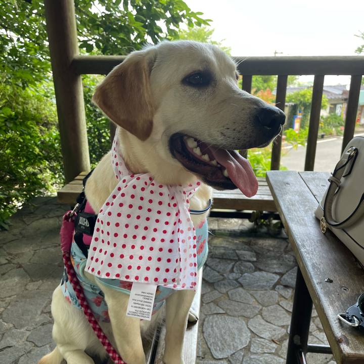 A5f2b13c bbe3 4363 9210 17780f6f54b8 1627544342228