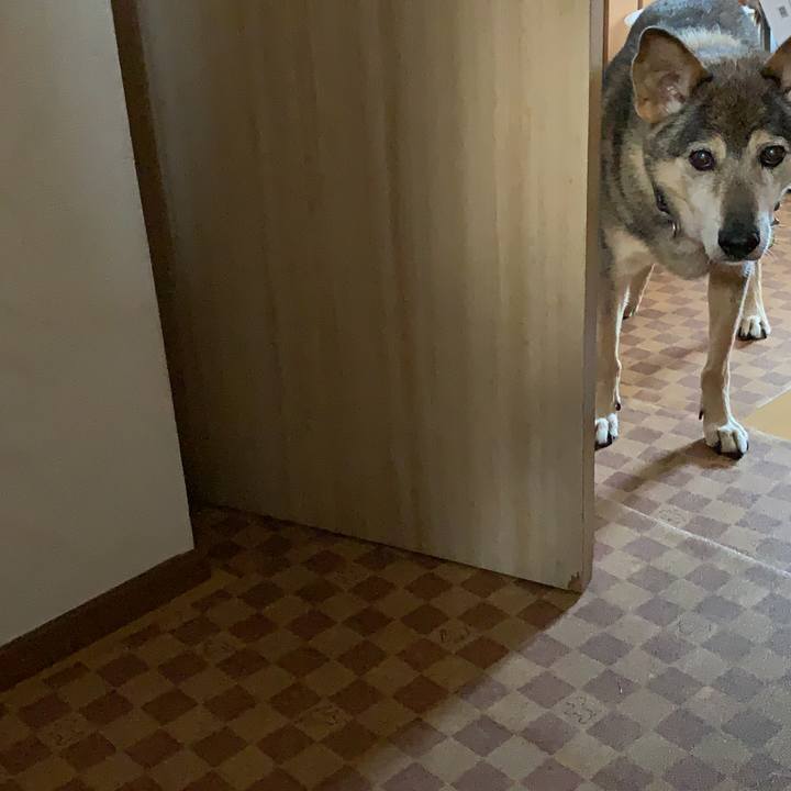 A5f2b195 00d5 47e3 917c 3d55273e77aa 1572947787700