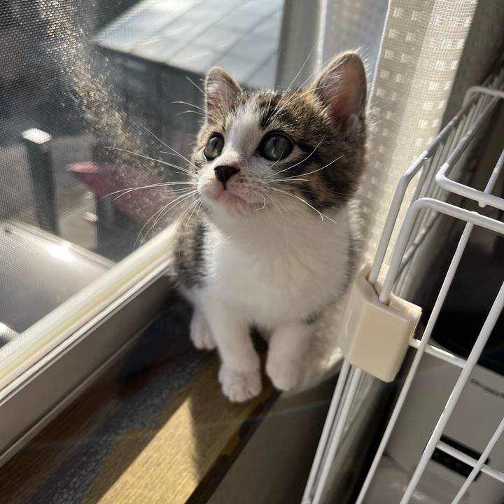 A5f2b580 19e3 4197 9072 61d5f9f5485f 1765855316765